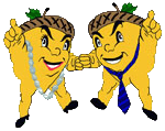 Dancing Acorns